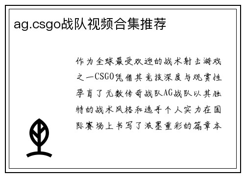 ag.csgo战队视频合集推荐