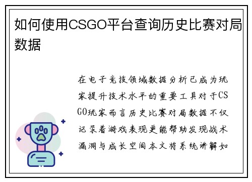如何使用CSGO平台查询历史比赛对局数据